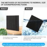 Sound Absorbing Acoustic Foam 24 Pieces Black Acoustic Foam for Podcasts, Recording Studios, Office Acoustic Foam Mat (30 x 30 x 2.5 cm) (Black)